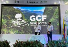 Governo do Amazonas firma parceria com FSC Brasil para manejo sustentável em Unidades de Conservação