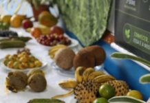 Escola Estadual Maria Amélia promove feira de frutos amazônicos em Manaus