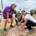 Prefeitura de Manaus promove plantio de mudas no Parque do Mindu para combater mudanças climáticas