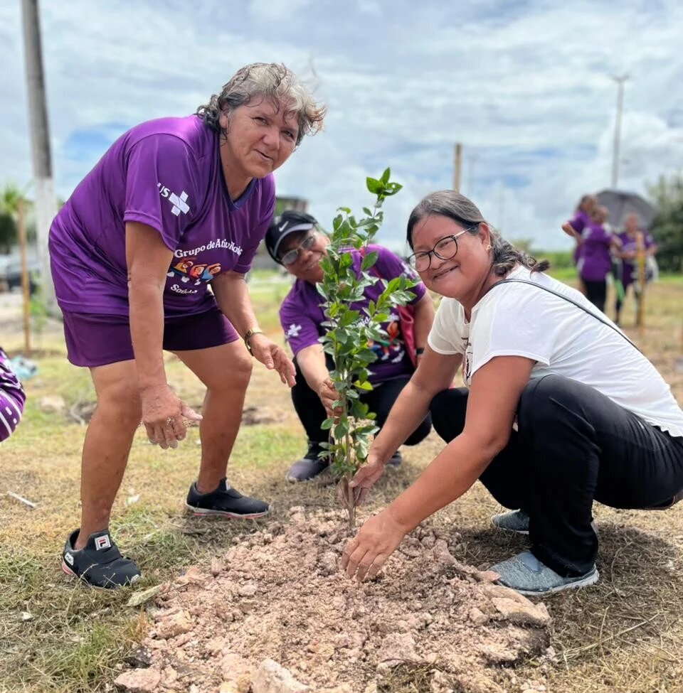 Prefeitura de Manaus promove plantio de mudas no Parque do Mindu para combater mudanças climáticas