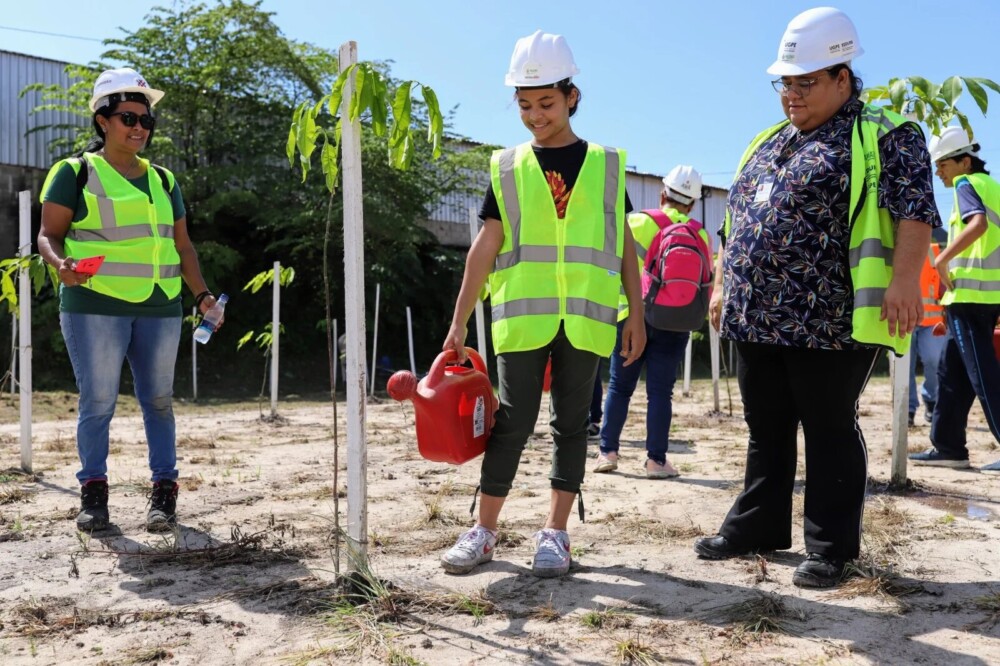 Dia do Meio Ambiente: Sedurb e UGPE destacam projetos de sustentabilidade urbana no Amazonas
