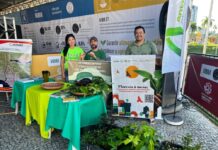 Prefeitura de Manaus impulsiona ODS com doação de mudas e educação ambiental na Ponta Negra
