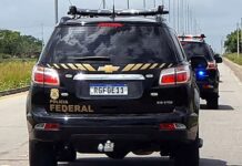 PF deflagra operação contra tráfico de drogas em cinco cidades do interior de São Paulo