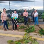 Servidores do Implurb transformam nova sede com jardinagem colaborativa e fortalecem pertencimento