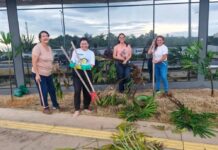 Servidores do Implurb transformam nova sede com jardinagem colaborativa e fortalecem pertencimento