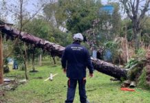 Defesa Civil reconhece situação de emergência em 17 municípios do RS após tempestades