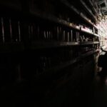 Procon-RJ orienta consumidores sobre ressarcimento de danos após falta de luz no Rio