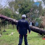 Sul, Sudeste e Centro-Oeste em alerta para tempestades e vendavais nos próximos dias
