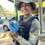 Patrulhamento Ambiental de Manaus resgata quatro animais silvestres em um dia
