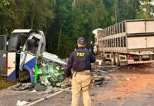 Acidente entre ônibus e caminhão mata 23 pessoas na BR-373 no Paraná
