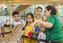 Prefeitura de Manaus e Inpa abrem exposição ‘Animais da Amazônia’ no Manauara Shopping