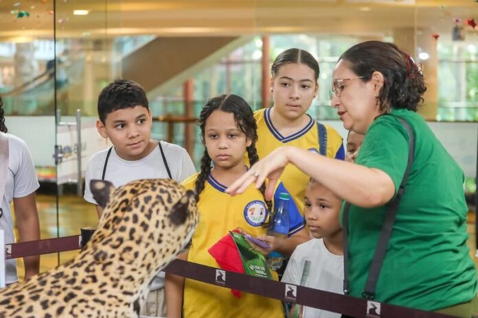 Prefeitura de Manaus e Inpa abrem exposição 'Animais da Amazônia' no Manauara Shopping