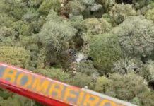 Cenipa abre investigação para apurar causas de queda de helicóptero em Santa Catarina